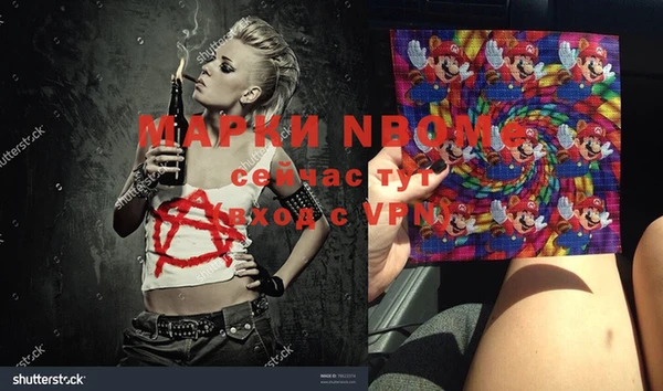 прущие грибы Алексин