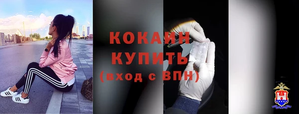 дживик Алзамай